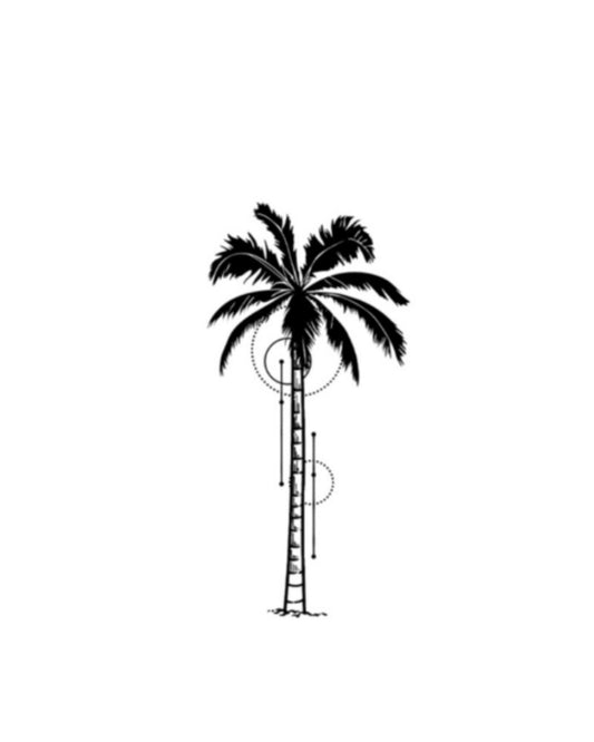 Palm tree