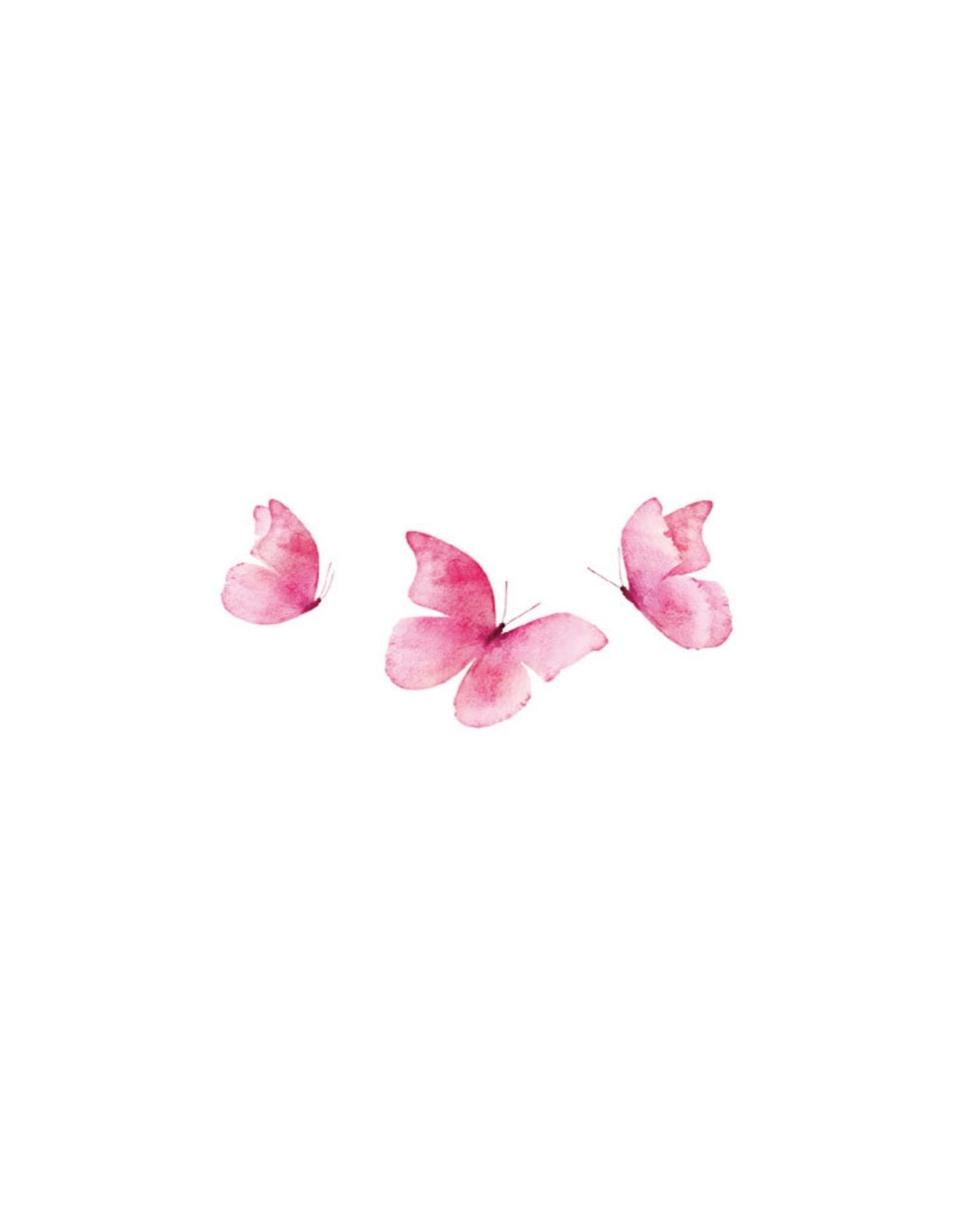 Pink butterfly