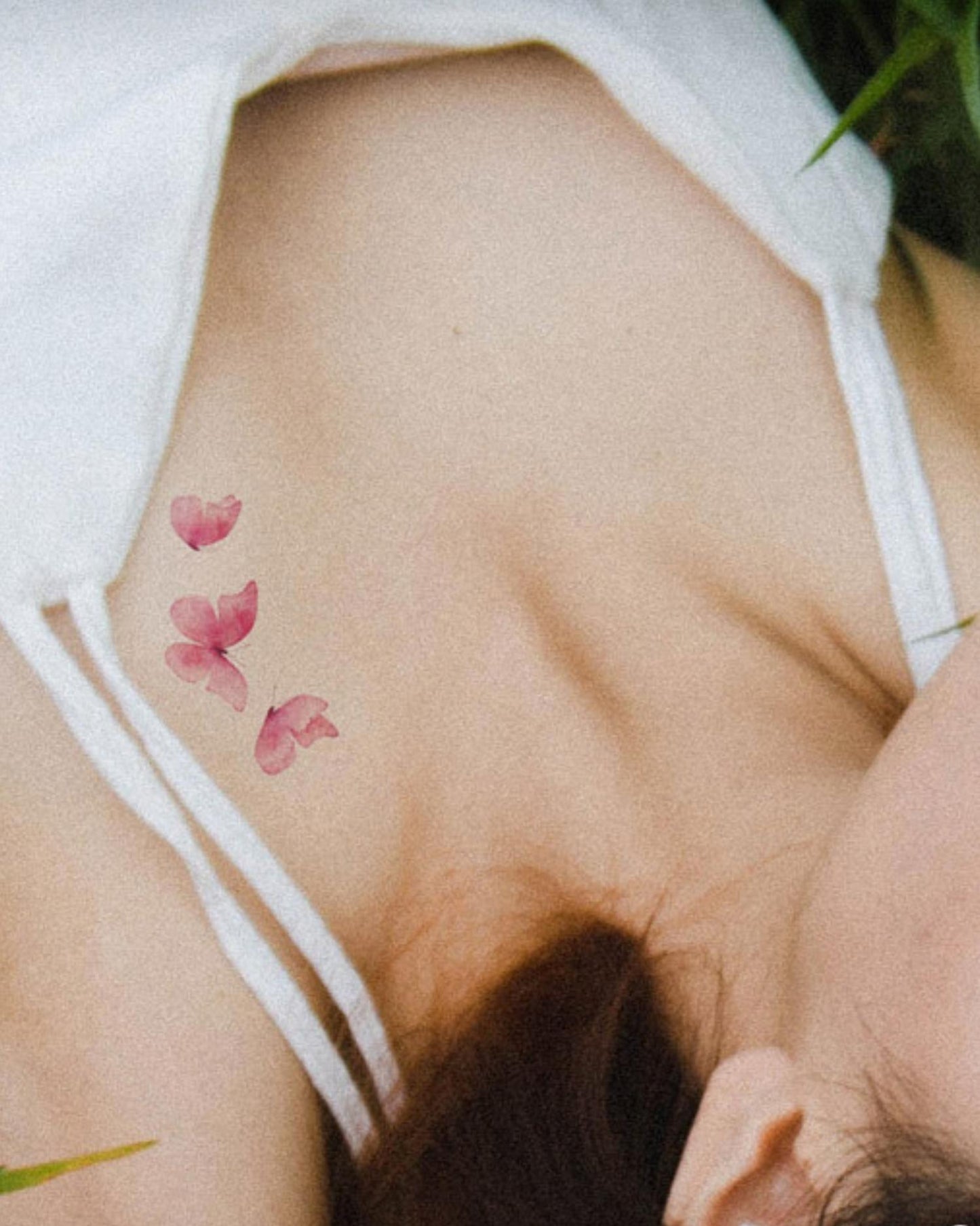 Pink butterfly