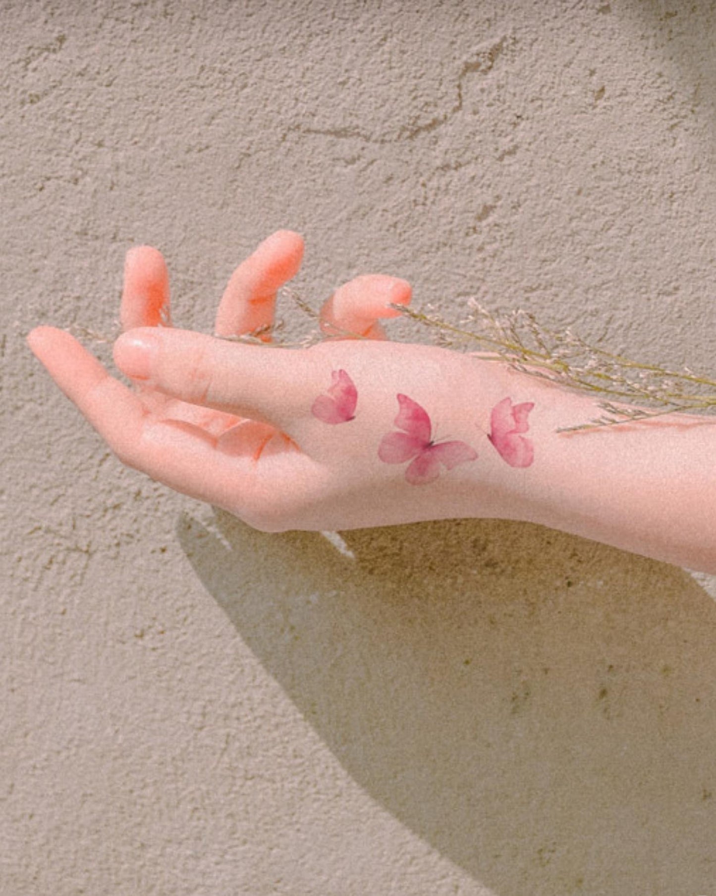 Pink butterfly