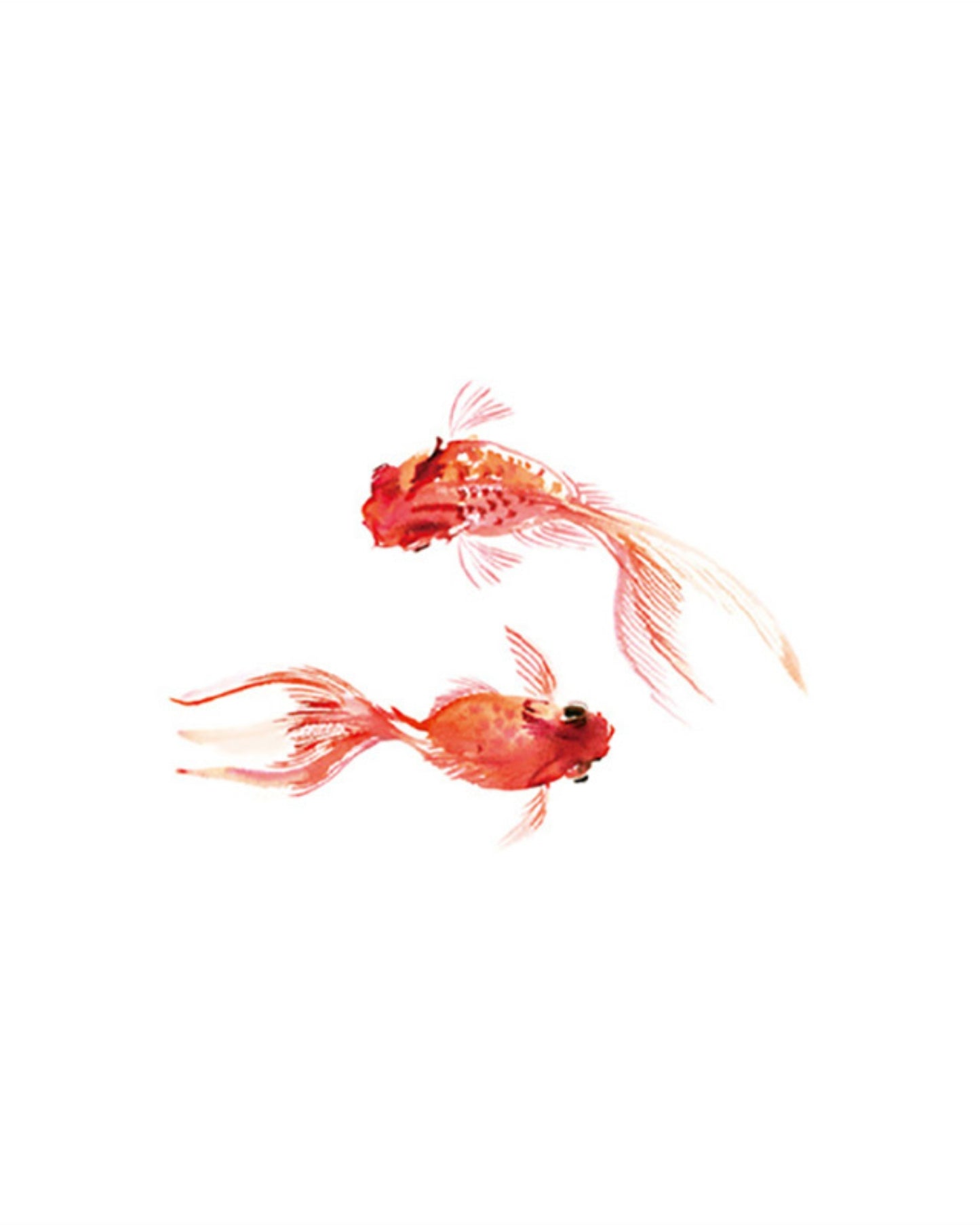 Golden fish