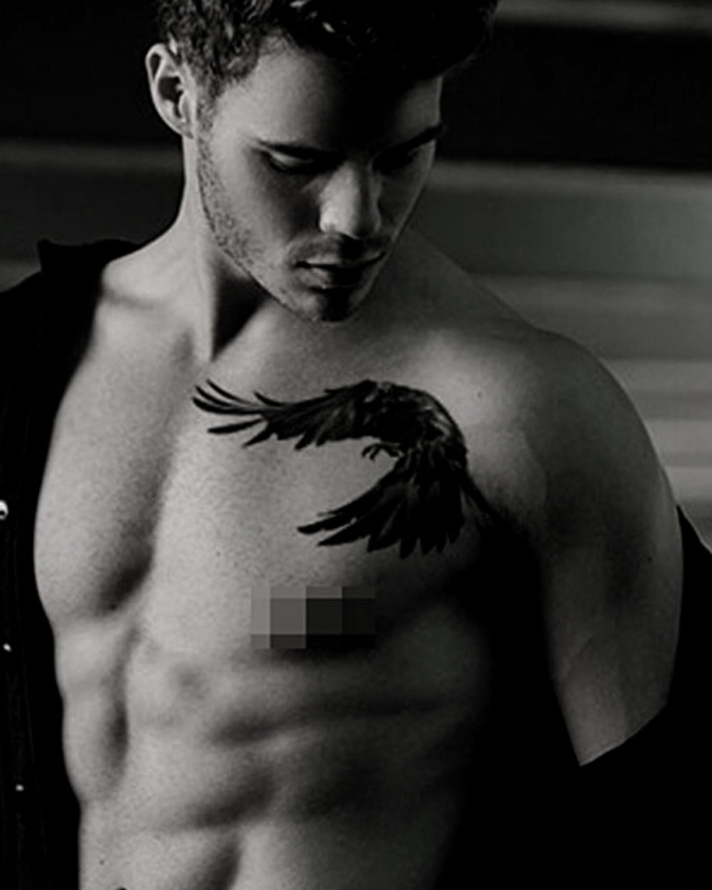 Dark falcon