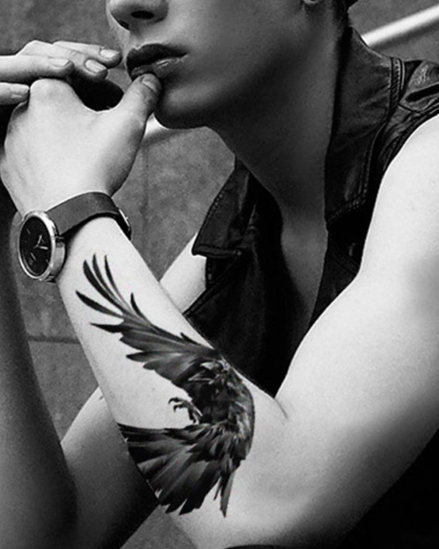 Dark falcon
