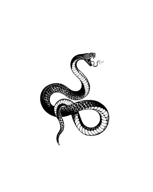 Poisonous snake